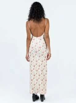 Princess Polly Knox Maxi Dress Beige Floral -Polly Store 4 modelinfo kristen us2 460c5145 2540 48a9 a549 e9e22e2c04ae